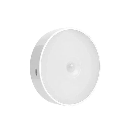 LED Light
